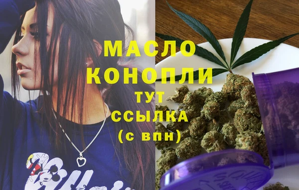 винт Анива