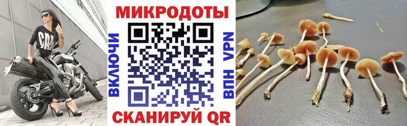 kraken рабочий сайт  Арамиль  Галлюциногенные грибы Magic Shrooms 